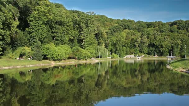 Transición Lenta Temporada Verano Colorido Otoño Los Árboles Verdes Vuelven — Vídeos de Stock