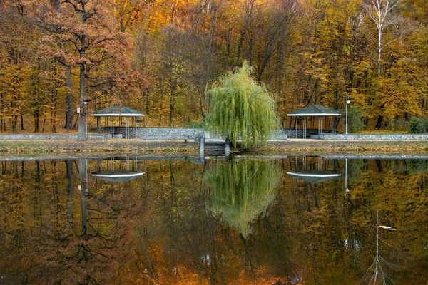 Herbst im Park — Stockfoto