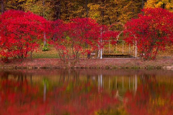 Herbst im Park — Stockfoto