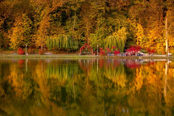 Otoño en el parque —  Fotos de Stock