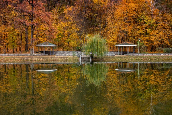 Herbst im Park — Stockfoto