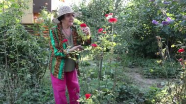 Beyaz kadın kıdemli onun bahçesinde şapka kesme güllü.