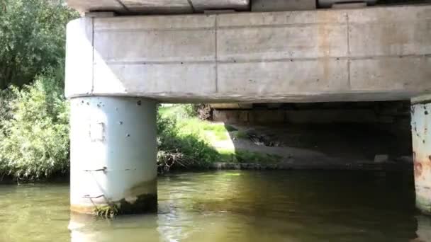 Abbundant Vegetace Březích Řeky Ljubljanice Lublaň Slovinsko — Stock video