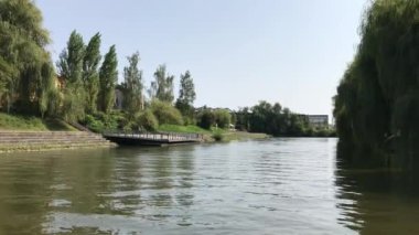 Ljubljana, Slovenya Ljubljanica Nehri'nin üzerinde eski willows ile güzel yeşil alan.