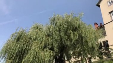 Ljubljana, Slovenya - 29 Ağustos 2018: Güzel tarihi, ortaçağ, binalar, açık havada kafeler, restoranlar ve Ljubljanica Nehri'nin kıyısında küçük dükkanlar.