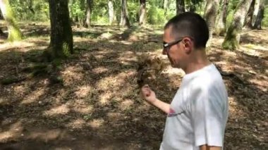 Böcekler karşı kendini savunmak için ormanda yürüyüş ve bir şube havada sallayarak beyaz adam.
