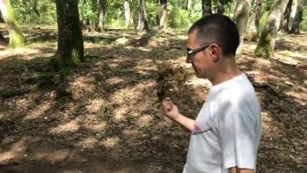 Hombre Caucásico Caminando Bosque Agitando Una Rama Aire Para Defenderse — Vídeos de Stock