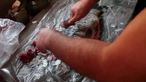 Man Scaling Gutting Carp Fish Wooden Table Covered Plastic Foil — Stock Video