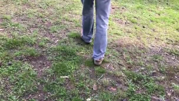 草の上歩く距離 ジーンズに身を包んだ男の足 — ストック動画