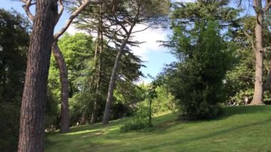 Güneşli bahar günü bir parkta. Değil recognizible insanlar.