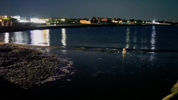 Niños Pescando Una Hermosa Noche Verano Con Luna Llena Una — Vídeo de stock