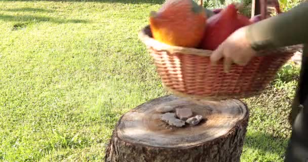 Γυναίκα Βάζοντας Παλιό Καλάθι Γεμάτο Κολοκύθες Και Μήλα Ένα Κομμένο — Αρχείο Βίντεο