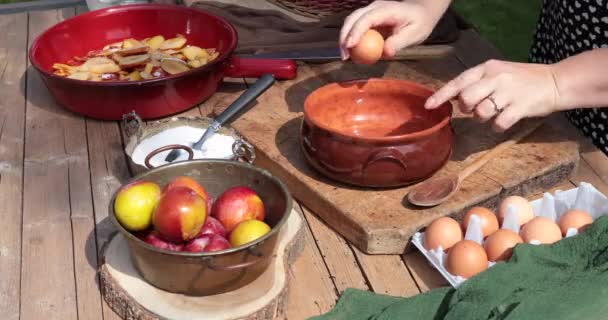 Woman Out Garden Preparing Cream Make Plum Tart Mixes Eggs — Stock Video