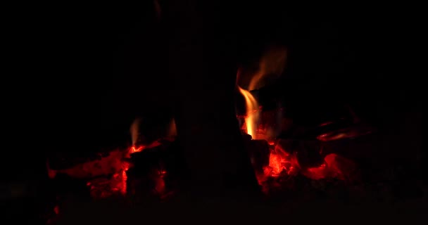Fuego Ardiendo Oscuridad Llamas Sobre Fuego Leña Aisladas Sobre Fondo — Vídeo de stock