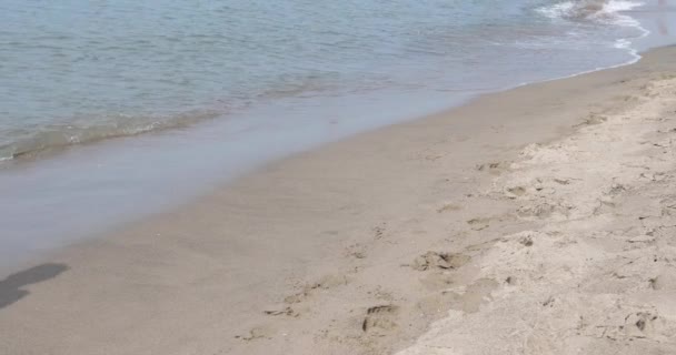 2人の白人女性が腰から下に撃たれ 水の中で足で海岸で水着を着て歩いている — ストック動画