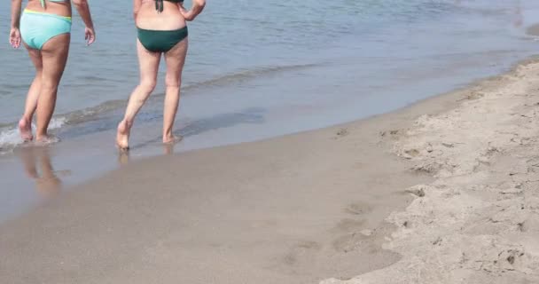 Vrouwen Geschoten Van Rug Wandelen Badpak Aan Kust Met Hun — Stockvideo