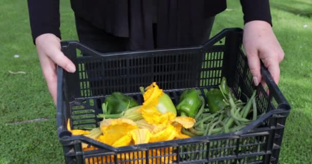 庭から新鮮に選んだズッキーニの花 ピーマンとプラスチック製のクレートを運ぶ女性 田舎の健康的なライフスタイルの概念と健康的な食事 — ストック動画