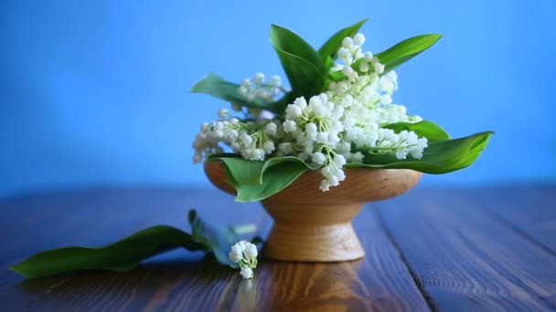 Vackra våren blommor liljekonvalj — Stockvideo