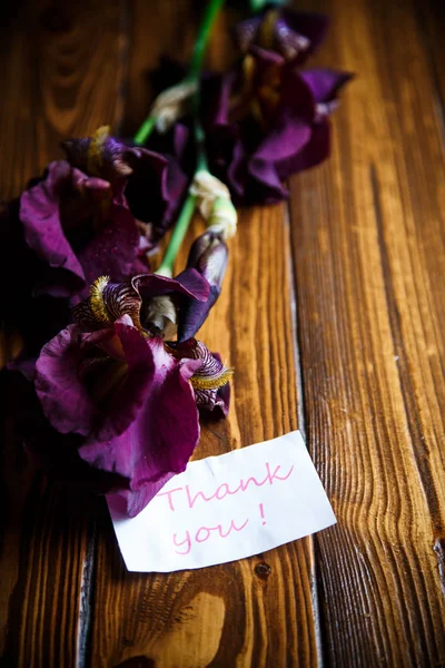 Όμορφη βιολετί ίριδας λουλούδι — Φωτογραφία Αρχείου