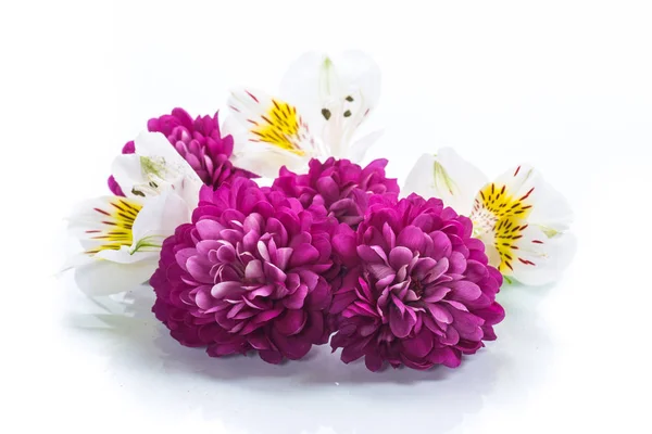 Boeket van mooie chrysanten en lysianthus — Stockfoto