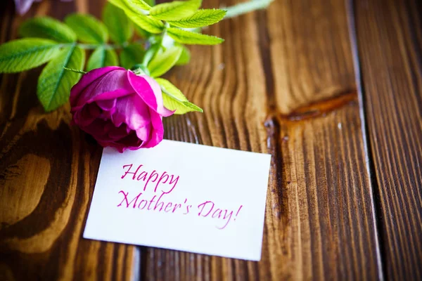 Красиві квітучі троянди і вітальна листівка для матері — стокове фото