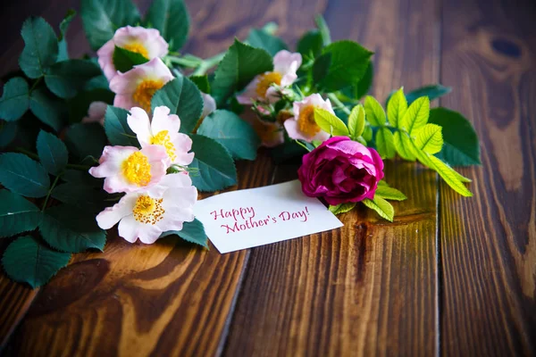 Hermosas rosas florecientes y una tarjeta de felicitación para la madre —  Fotos de Stock