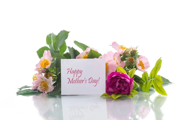 Gyönyörű virágzó rózsák és egy üdvözlő kártya, az anya — Stock Fotó