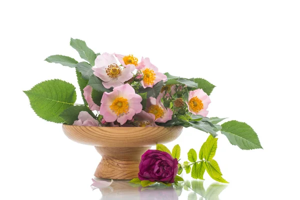 Hermosas rosas florecientes y una tarjeta de felicitación para la madre — Foto de Stock