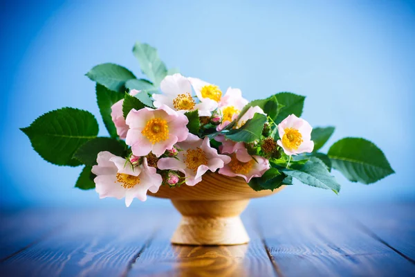 Vackra blommande rosor och ett gratulationskort för mamman — Stockfoto