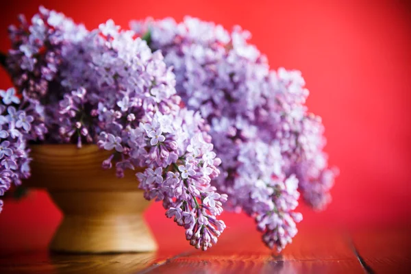 Ramo Lilás Primavera Florescente Fundo Vermelho — Fotografia de Stock