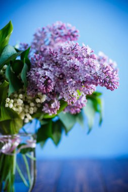 dal, çiçek açması baharın leylak mavi bir arka plan üzerinde