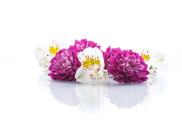 Bouquet Beautiful Chrysanthemums Lysianthus White Background — Stock Photo, Image