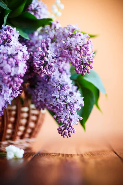 Tak Van Bloeiende Lente Lila Een Oranje Achtergrond — Stockfoto