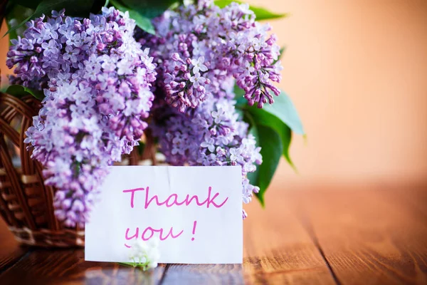 Branche Lilas Printanier Fleurs Sur Fond Orange — Photo