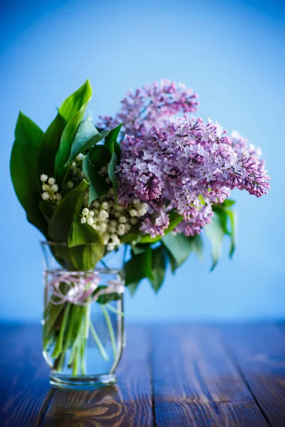 Branch Blossoming Spring Lilac Blue Background — Stock Photo, Image