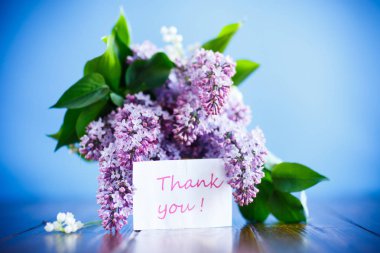 dal, çiçek açması baharın leylak mavi bir arka plan üzerinde