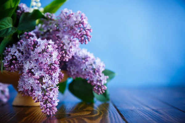 Ramo Lilás Primavera Florescente Contexto Azul — Fotografia de Stock