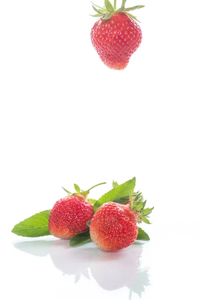 Fragola Biologica Rossa Matura Fondo Bianco — Foto Stock