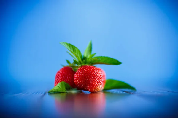 Ripe Red Organic Strawberry Blue Background — Stock Photo, Image