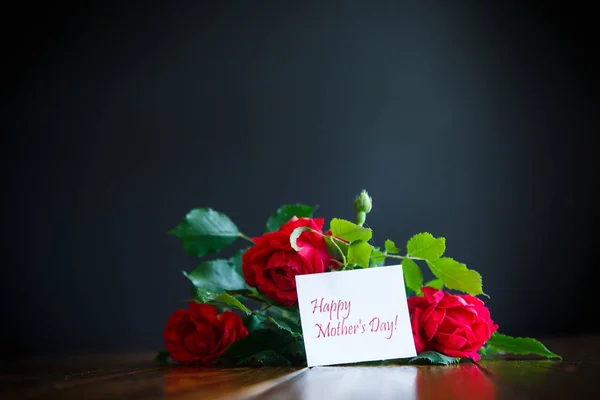 Hermosas Rosas Rojas Flor Sobre Fondo Negro — Foto de Stock
