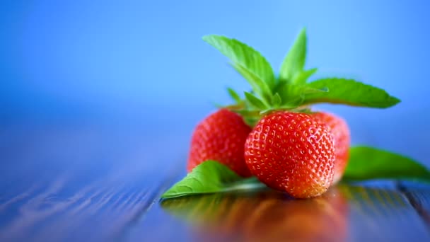 Fragola Biologica Rossa Matura Fondo Blu — Video Stock