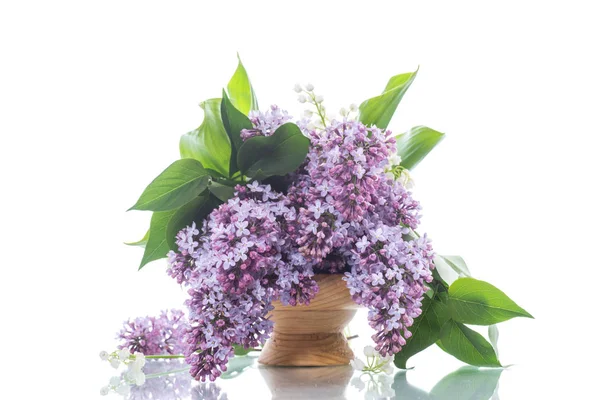 Branch Blossoming Spring Lilac White Background — Stock Photo, Image