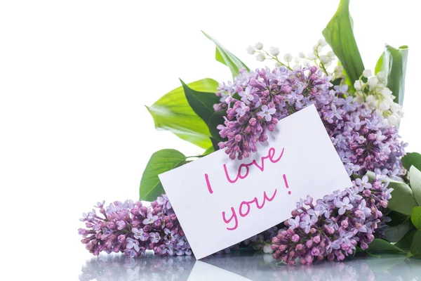 Branch Blossoming Spring Lilac White Background — Stock Photo, Image