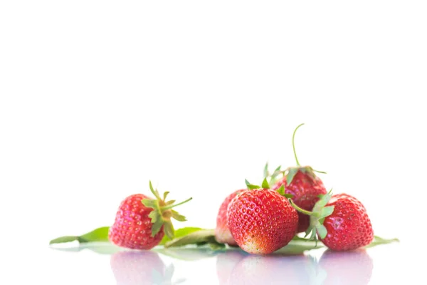 Fraise Biologique Rouge Mûre Sur Fond Blanc Photo De Stock