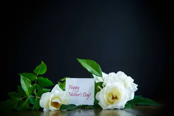 Beautiful White Blooming Roses Black Background — Stock Photo, Image