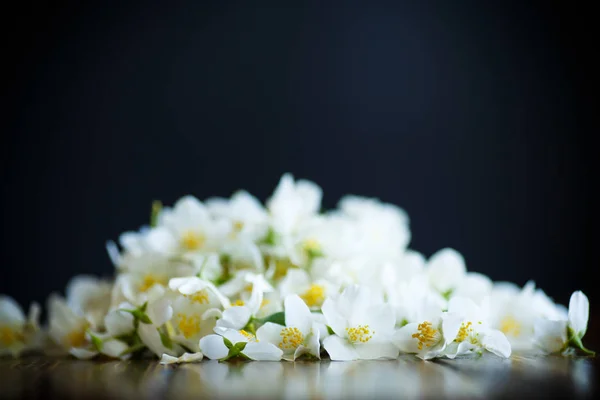 木製のテーブルに花咲くジャスミンの花を引き裂かれました — ストック写真