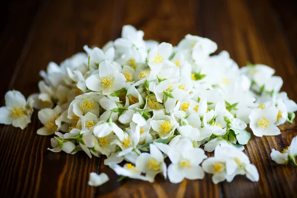 Rozdarty Kwiatów Kwitnących Jasmine Drewnianym Stole — Zdjęcie stockowe