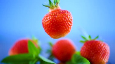 mavi bir arka plan üzerinde kırmızı olgun organik çilek