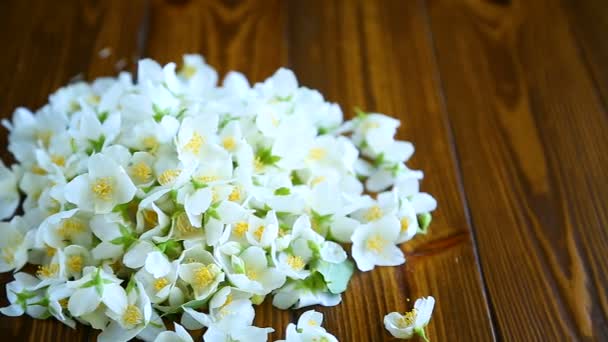 Gescheurd Bloei Jasmijn Bloemen Een Houten Tafel — Stockvideo