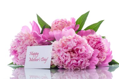Beyaz arka plan üzerinde çiçek açan peonies buket